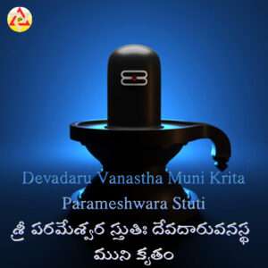 Devadaru Vanastha Muni Krita Parameshwara Stuti – శ్రీ పరమేశ్వర స్తుతిః దేవదారువనస్థ ముని కృతం