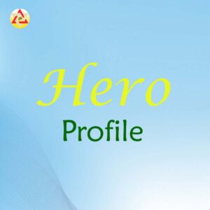 Hero Profile